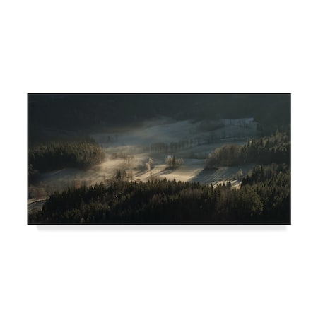 Izabela Laszewska 'Fire And Ice Fog' Canvas Art,24x47